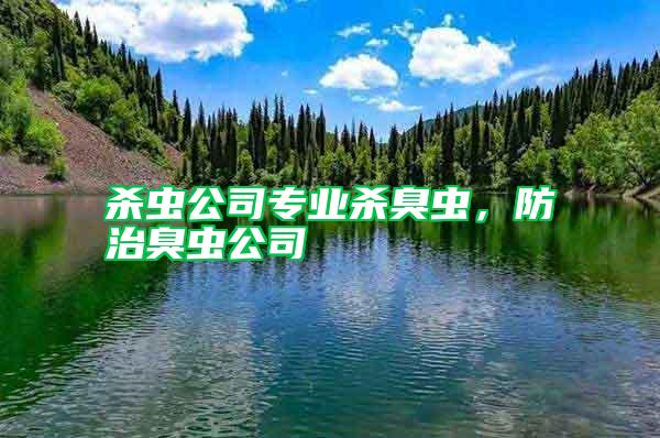 殺蟲公司專業(yè)殺臭蟲，防治臭蟲公司