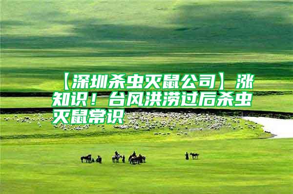 【深圳殺蟲滅鼠公司】漲知識！臺風洪澇過后殺蟲滅鼠常識