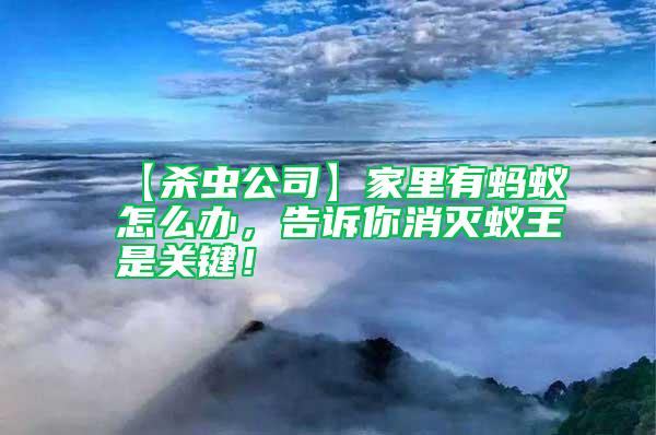 【殺蟲公司】家里有螞蟻怎么辦，告訴你消滅蟻王是關鍵！