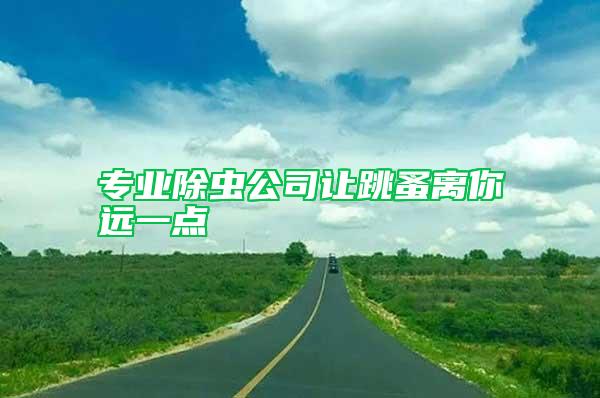 專業(yè)除蟲公司讓跳蚤離你遠(yuǎn)一點(diǎn)