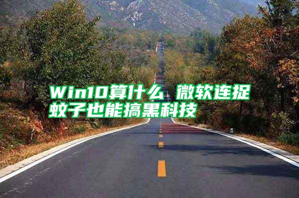 Win10算什么 微軟連捉蚊子也能搞黑科技