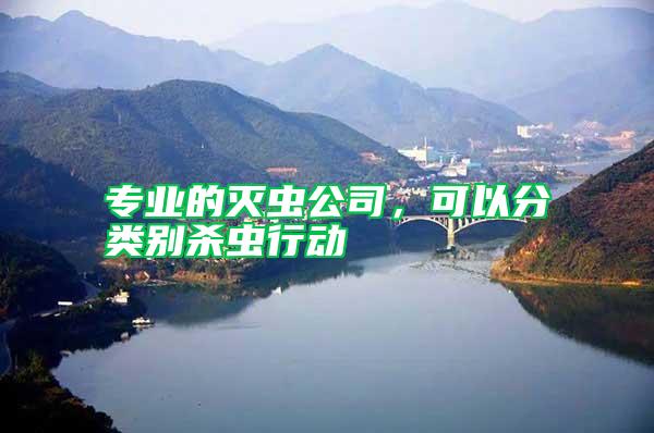 專業的滅蟲公司,可以分類別殺蟲行動