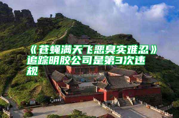 《蒼蠅滿天飛惡臭實難忍》追蹤明膠公司是第3次違規(guī)