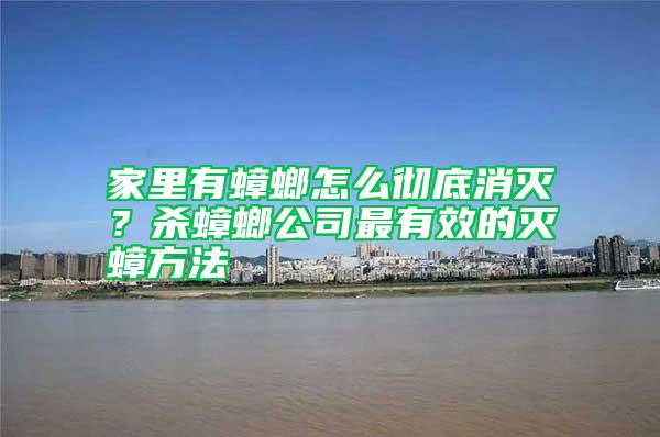 家里有蟑螂怎么徹底消滅?殺蟑螂公司最有效的滅蟑方法