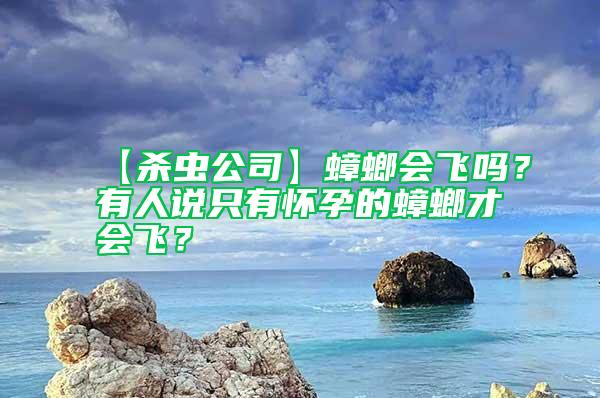 【殺蟲公司】蟑螂會飛嗎？有人說只有懷孕的蟑螂才會飛？