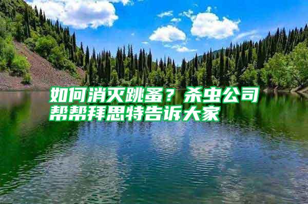 如何消滅跳蚤？殺蟲(chóng)公司幫幫拜思特告訴大家