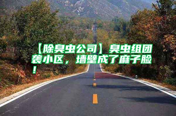 【除臭蟲公司】臭蟲組團襲小區，墻壁成了麻子臉！