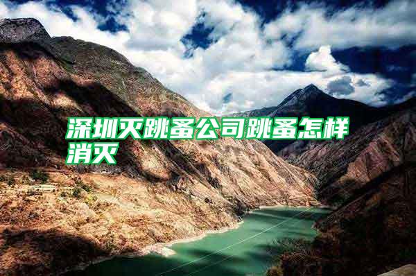 深圳滅跳蚤公司跳蚤怎樣消滅