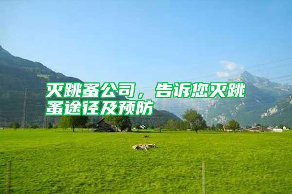 滅跳蚤公司，告訴您滅跳蚤途徑及預(yù)防