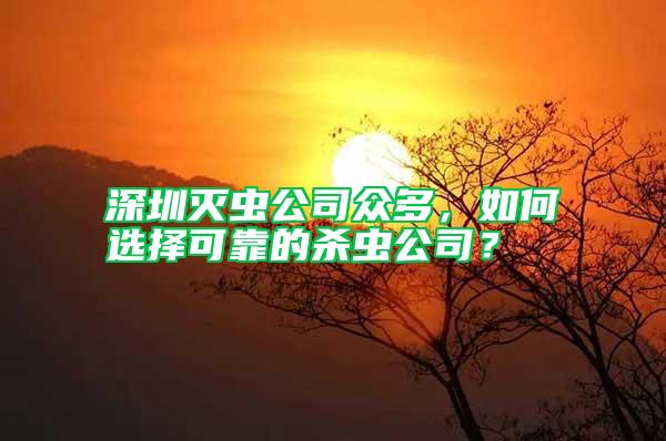 深圳滅蟲公司眾多,如何選擇可靠的殺蟲公司?