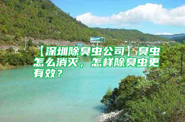 【深圳除臭蟲公司】臭蟲怎么消滅，怎樣除臭蟲更有效？
