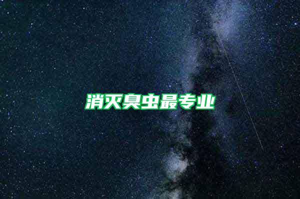 消滅臭蟲最專業(yè)