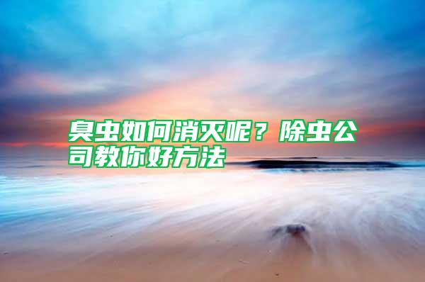 臭蟲如何消滅呢?除蟲公司教你好方法