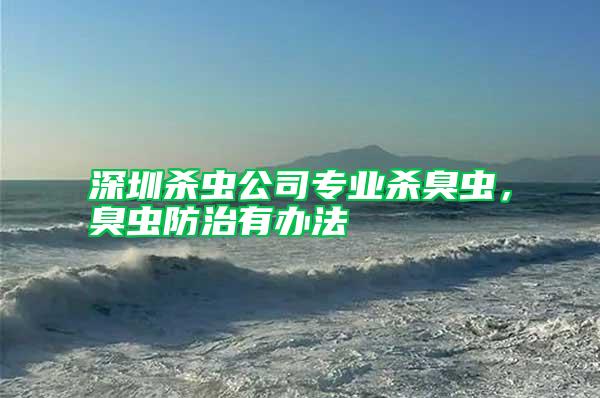 深圳殺蟲公司專業(yè)殺臭蟲，臭蟲防治有辦法
