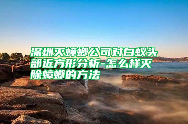 深圳滅蟑螂公司對白蟻頭部近方形分析-怎么樣滅除蟑螂的方法