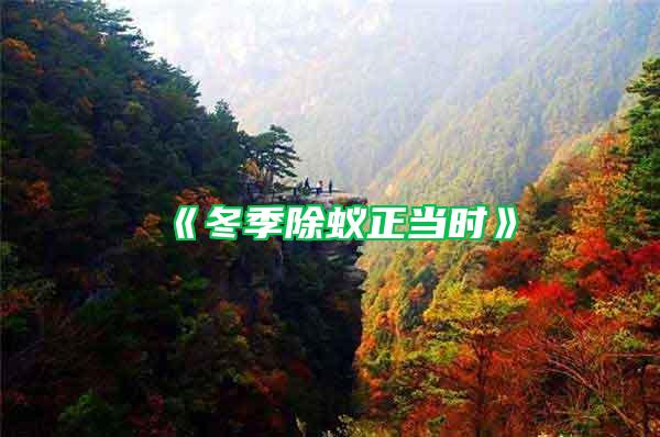 《冬季除蟻正當(dāng)時》