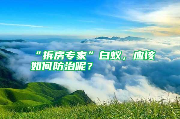 “拆房專家”白蟻，應該如何防治呢？