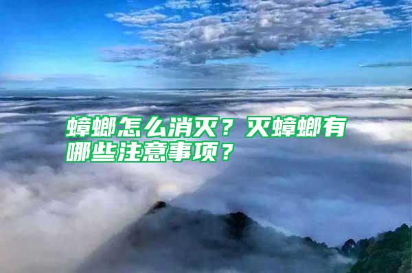 蟑螂怎么消滅?滅蟑螂有哪些注意事項?