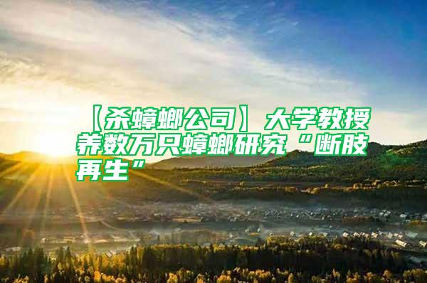 【殺蟑螂公司】大學教授養數萬只蟑螂研究“斷肢再生”