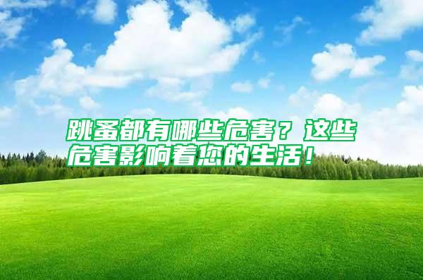 跳蚤都有哪些危害?這些危害影響著您的生活!