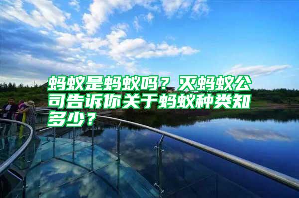螞蟻是螞蟻嗎?滅螞蟻公司告訴你關于螞蟻種類知多少?