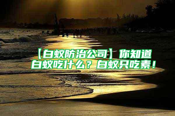 【白蟻防治公司】你知道白蟻吃什么？白蟻只吃素！