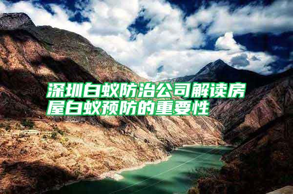 深圳白蟻防治公司解讀房屋白蟻預(yù)防的重要性