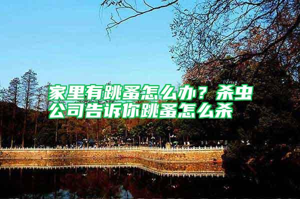 家里有跳蚤怎么辦?殺蟲(chóng)公司告訴你跳蚤怎么殺