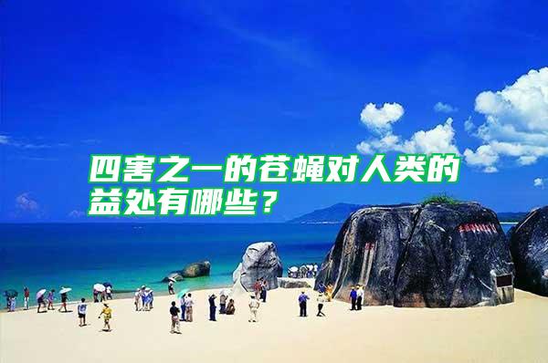 四害之一的蒼蠅對人類的益處有哪些?