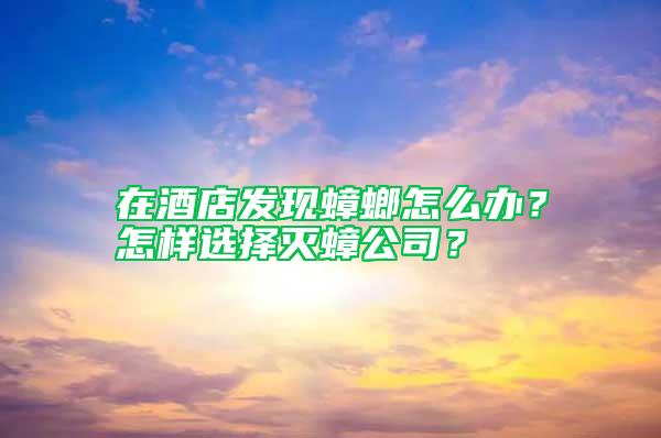 在酒店發(fā)現(xiàn)蟑螂怎么辦?怎樣選擇滅蟑公司?