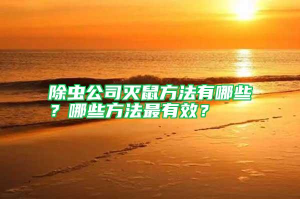 除蟲公司滅鼠方法有哪些?哪些方法最有效?