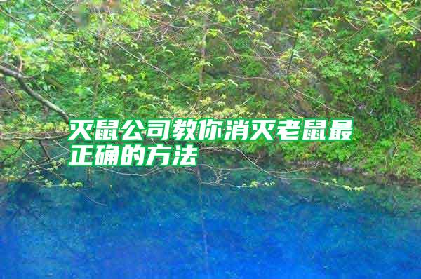 滅鼠公司教你消滅老鼠最正確的方法