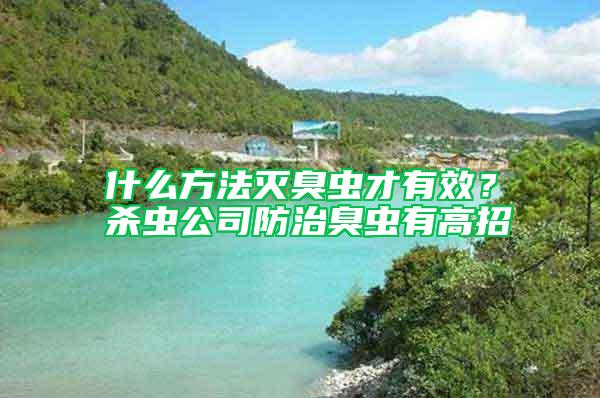 什么方法滅臭蟲(chóng)才有效?殺蟲(chóng)公司防治臭蟲(chóng)有高招