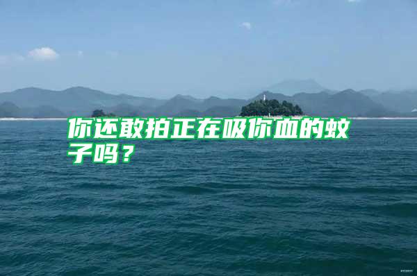 你還敢拍正在吸你血的蚊子嗎？
