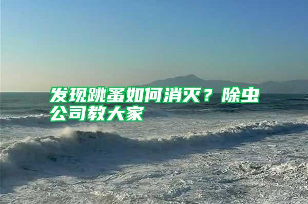 發(fā)現(xiàn)跳蚤如何消滅?除蟲公司教大家