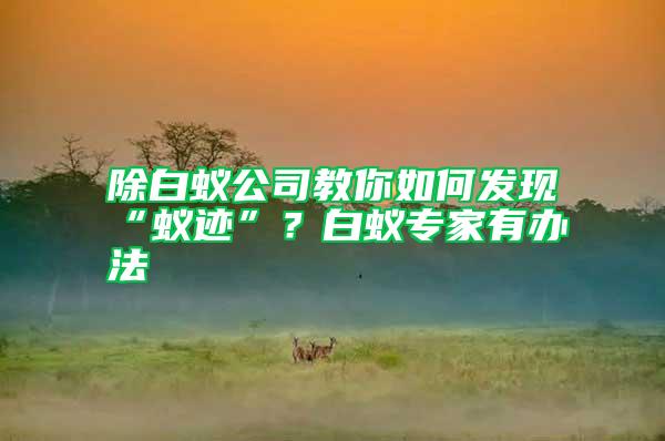 除白蟻公司教你如何發(fā)現(xiàn)“蟻跡”?白蟻專家有辦法