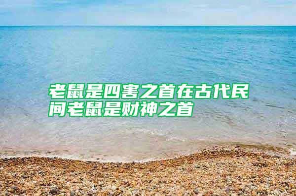 老鼠是四害之首在古代民間老鼠是財(cái)神之首