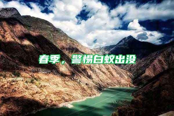 春季，警惕白蟻出沒(méi)