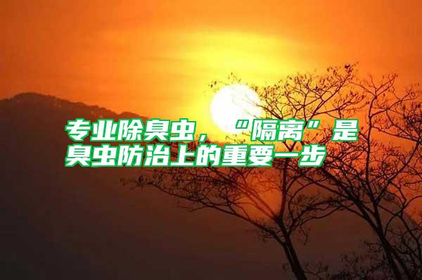 專業除臭蟲,“隔離”是臭蟲防治上的重要一步