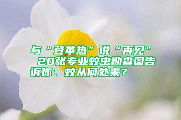 與“登革熱”說“再見” 20張專業(yè)蚊蟲勘查圖告訴你：蚊從何處來？