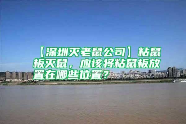 【深圳滅老鼠公司】粘鼠板滅鼠，應(yīng)該將粘鼠板放置在哪些位置？