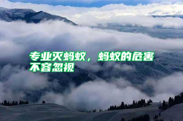 專業(yè)滅螞蟻,螞蟻的危害不容忽視
