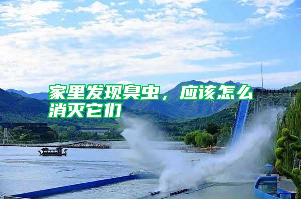 家里發現臭蟲,應該怎么消滅它們