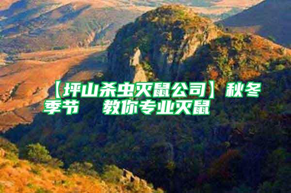 【坪山殺蟲滅鼠公司】秋冬季節  教你專業滅鼠