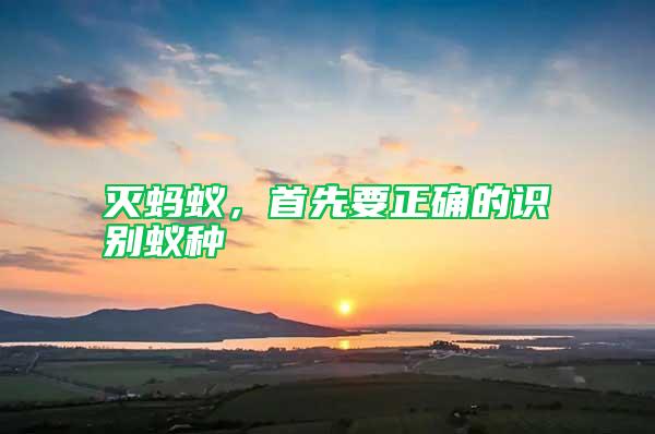 滅螞蟻，首先要正確的識別蟻種