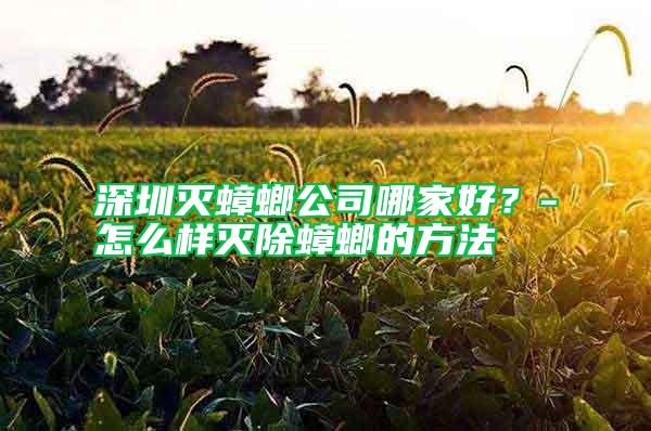 深圳滅蟑螂公司哪家好？-怎么樣滅除蟑螂的方法