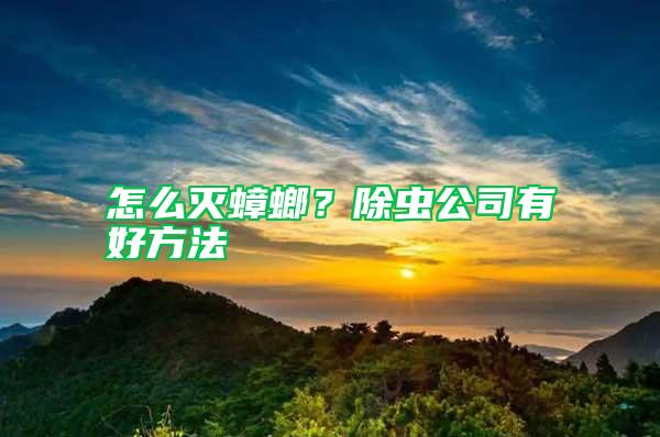 怎么滅蟑螂？除蟲公司有好方法