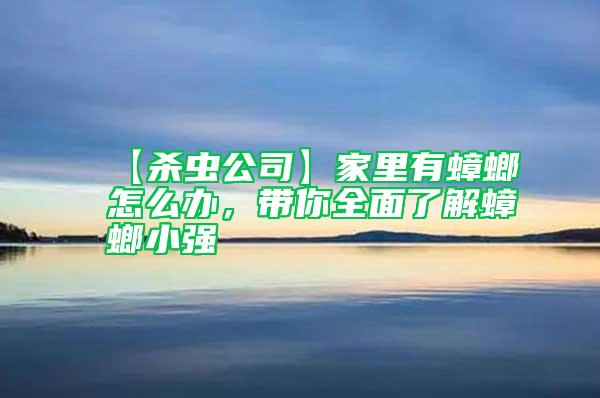 【殺蟲公司】家里有蟑螂怎么辦，帶你全面了解蟑螂小強(qiáng)