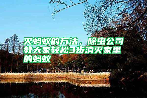 滅螞蟻的方法,除蟲公司教大家輕松3步消滅家里的螞蟻