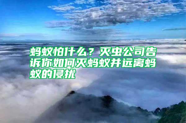 螞蟻怕什么?滅蟲公司告訴你如何滅螞蟻并遠(yuǎn)離螞蟻的侵?jǐn)_